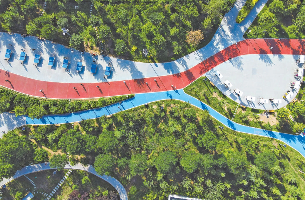 我国森林覆盖率超25%