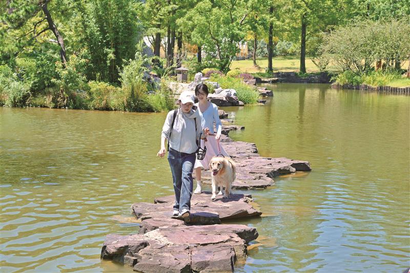 公园绿地如何“人宠双向友好”？